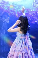 以防你没有见过这样的ap贝壳..