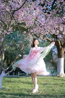 玻璃查理云深花树