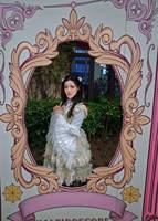 安东尼系列黄百合