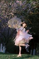 玻璃查理云深花树