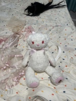 丝缎芭蕾和亮丝带大兔熊