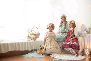 小雏菊与蒲公英