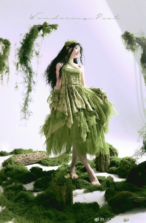 流浪诗人与她的鸟（2025）