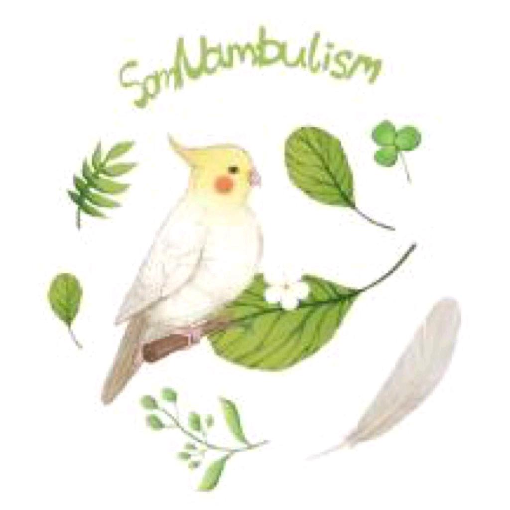 SomNambulism梦游症