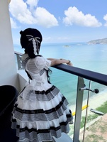 sbw黑白和大海也很适配