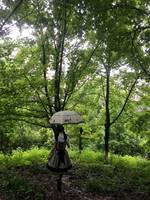东京下雨,淋湿lo裙