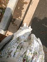 怎么天天都在下雨