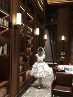 很美的雀之羽2.0