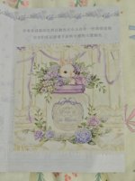 瓶中兔定金卡拿到啦