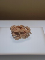安东尼小笼包