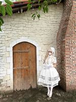 魔女贩售幽灵兰中长