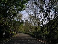 春天里