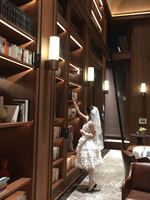 很美的雀之羽2.0