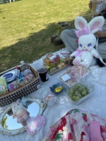 和莉莉卡鲁宝宝的一次野餐🧺