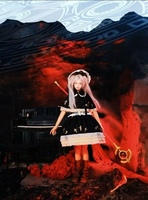 拍了点不一样的中村十字