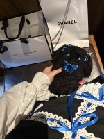 给bbd改色了,蓝黑党狂喜