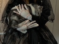 昨天新到的衣服，太好看了