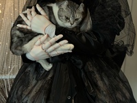 昨天新到的衣服，太好看了