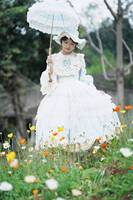 四时花我爱你😏