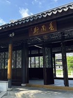 八重樱粉绿新色