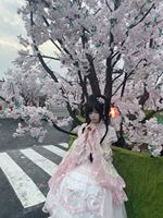 樱花树的两种穿法 你更喜欢哪一种