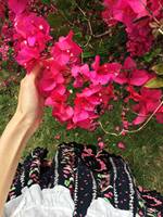 双马尾的你会不会很可爱