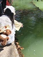 好朋友就一起三坑w汉洋折衷&lolita