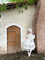 魔女贩售幽灵兰中长