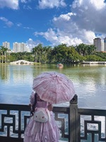 记录一下自己手缝的lo伞