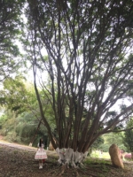 世界很大，我却渺小