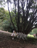 世界很大，我却渺小
