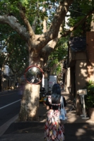 昭和万花筒你美啊