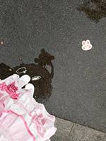 耶耶耶，出门啦