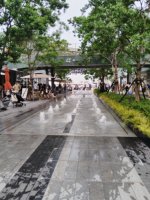 穿圣诞g去唱歌