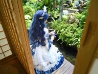 梨园梦瓷蓝dress
