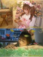 如果你也喜欢条纹草莓🍓