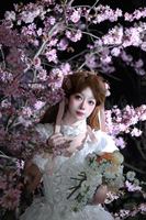 樱花和baby小羽毛