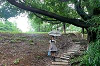 东京下雨,淋湿lo裙