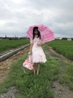 二零二五年春