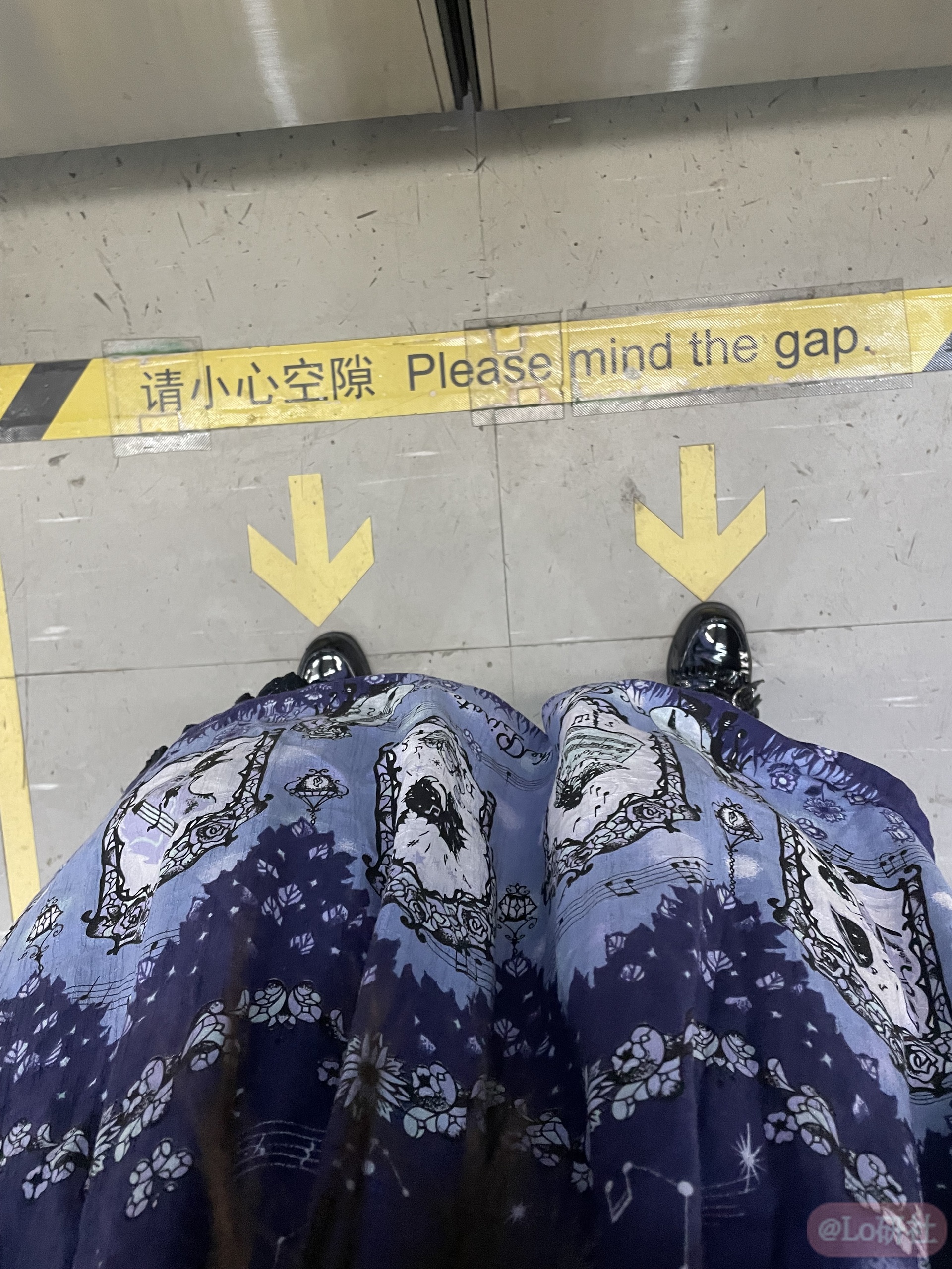 IMG_1509.jpeg