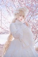 纯白真的好适合樱花！