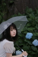 绣球花～