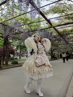 紫藤公园~