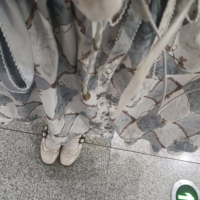 美丽裙裙