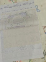 瓶中兔定金卡拿到啦
