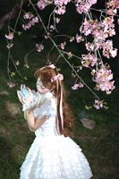 樱花和baby小羽毛