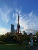 梦马和东京塔🗼