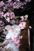 樱花和baby小羽毛