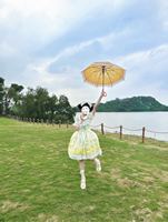 柠檬鸡配色真的太清新了