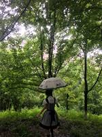 东京下雨,淋湿lo裙